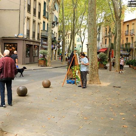 Les papillons en méditerranée Céret Esterno foto