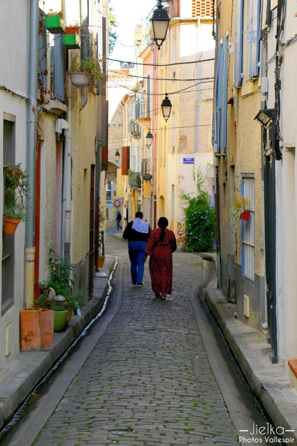 Les papillons en méditerranée Céret Esterno foto