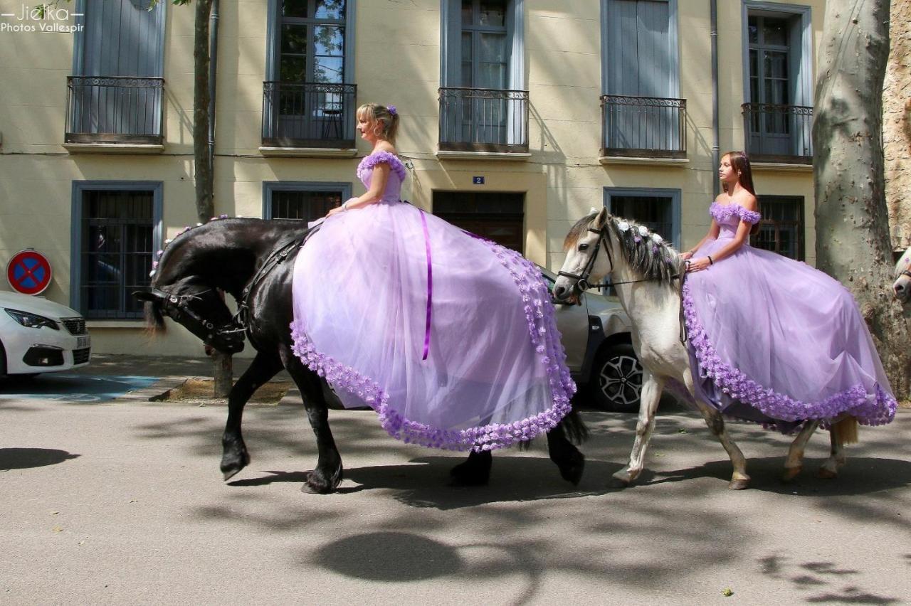Les papillons en méditerranée Céret Esterno foto