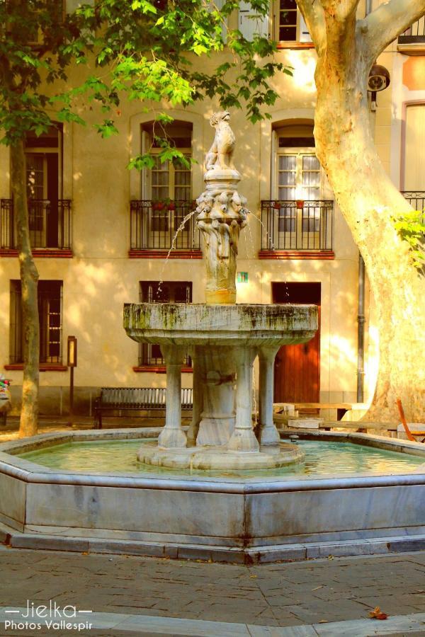 Les papillons en méditerranée Céret Esterno foto
