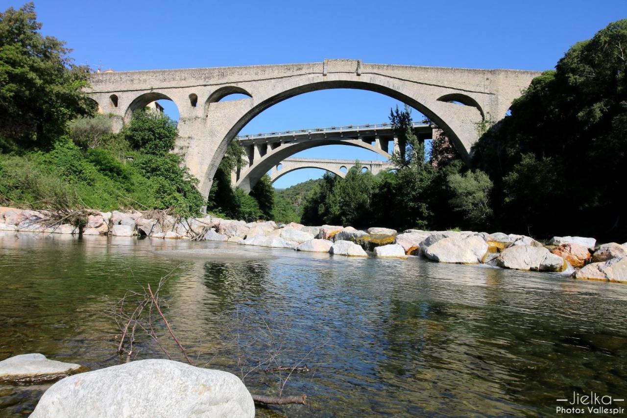 Les papillons en méditerranée Céret Esterno foto