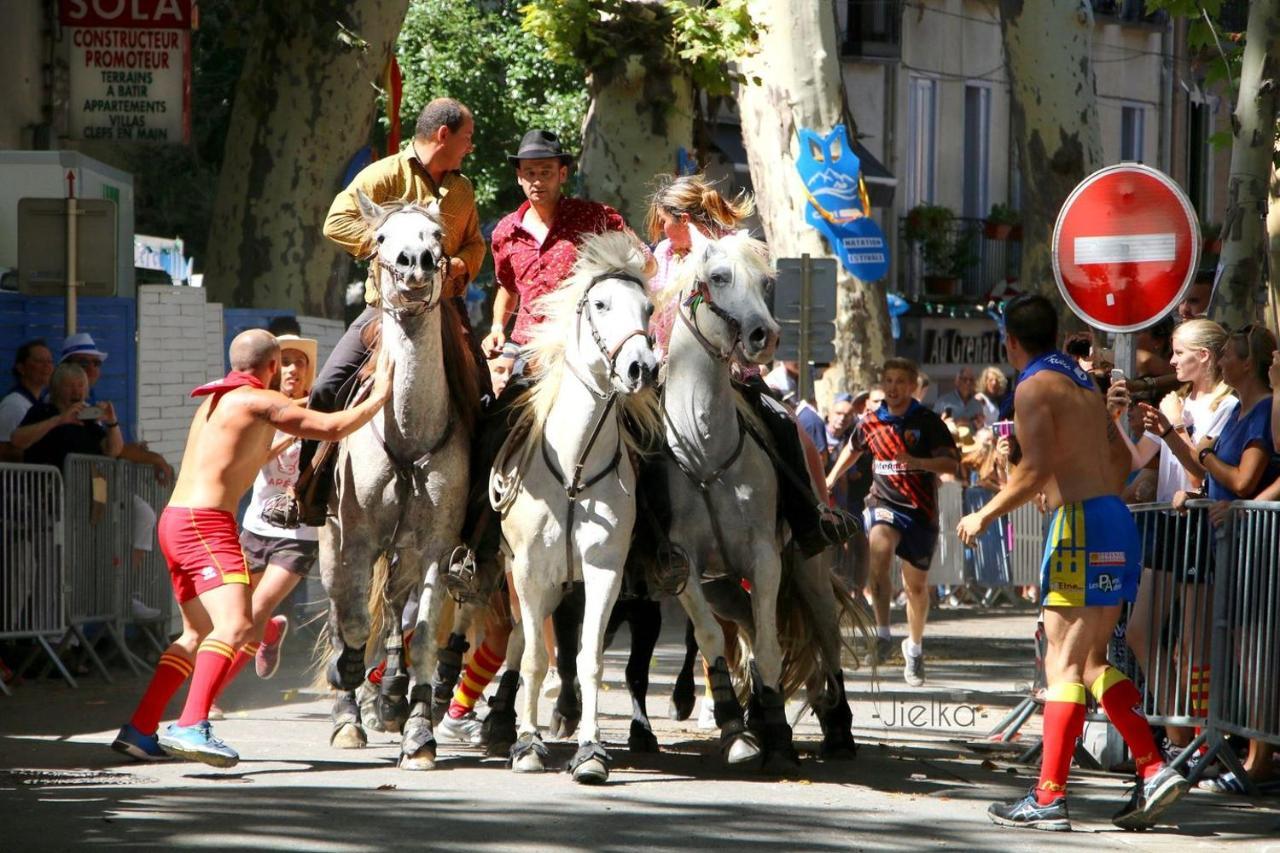 Les papillons en méditerranée Céret Esterno foto