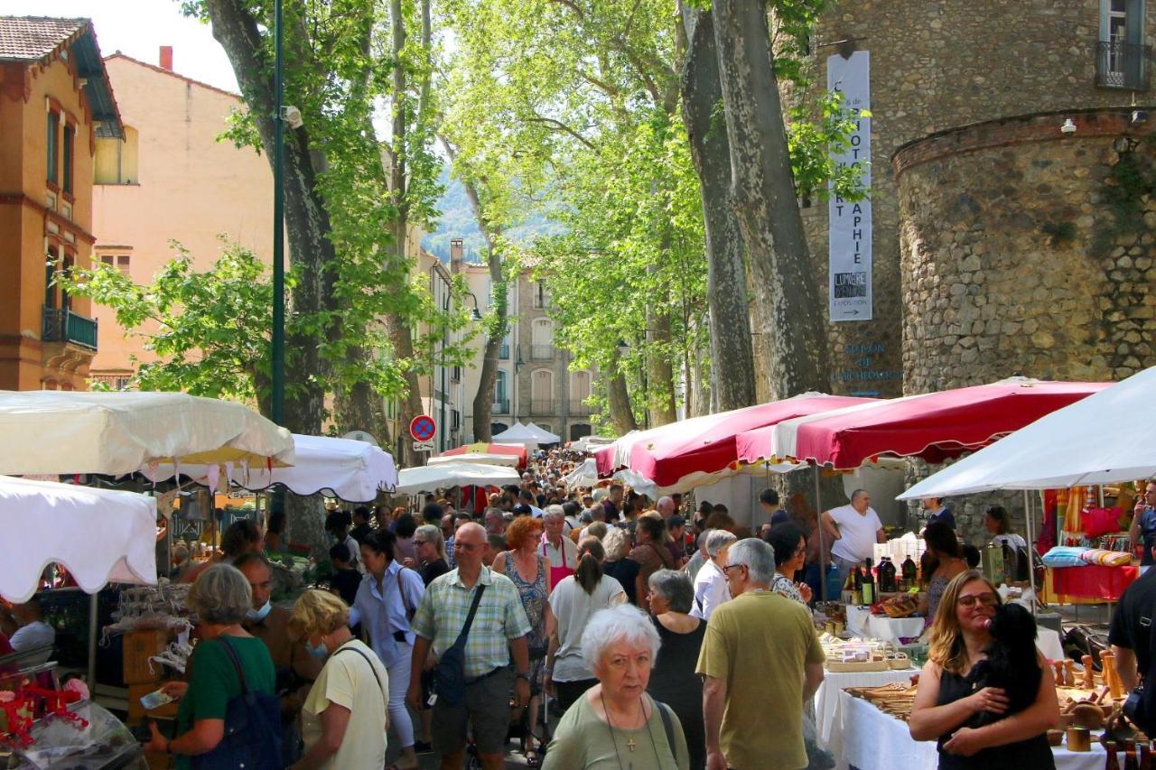 Les papillons en méditerranée Céret Esterno foto