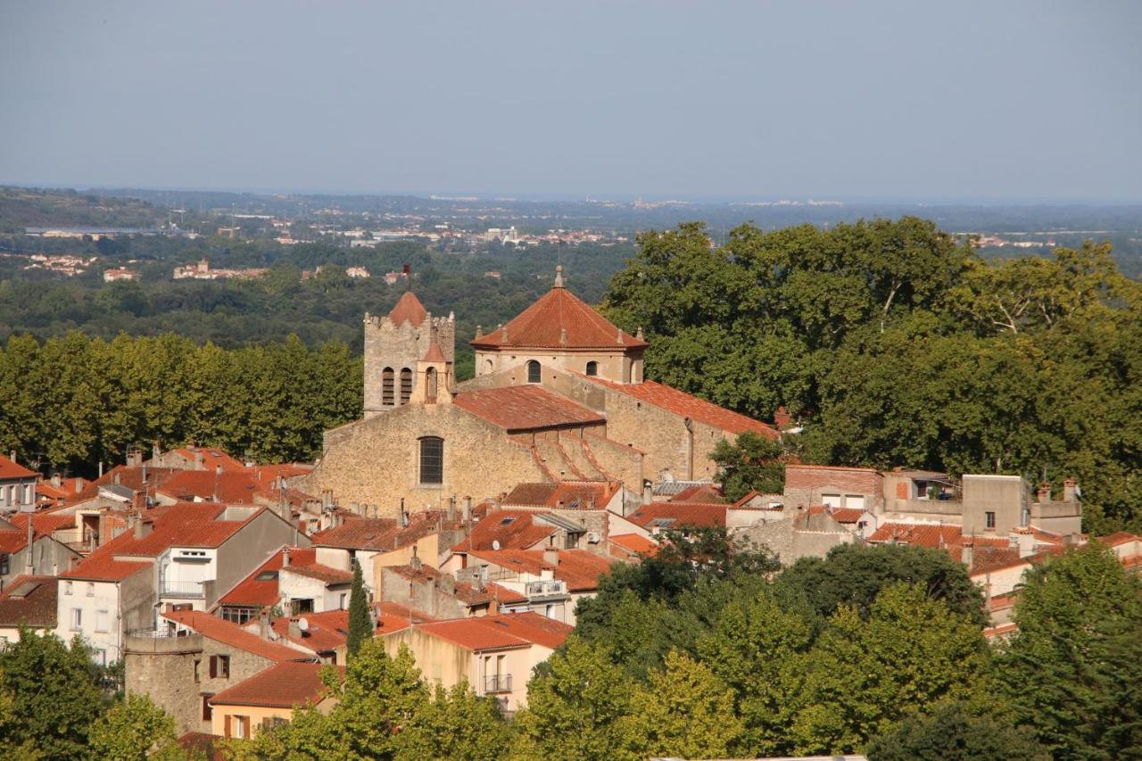 Les papillons en méditerranée Céret Esterno foto