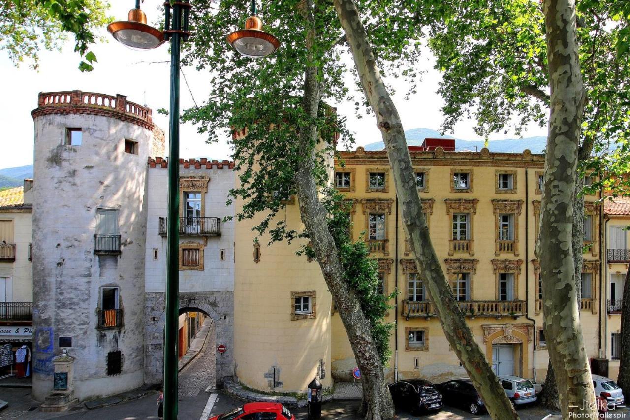 Les papillons en méditerranée Céret Esterno foto