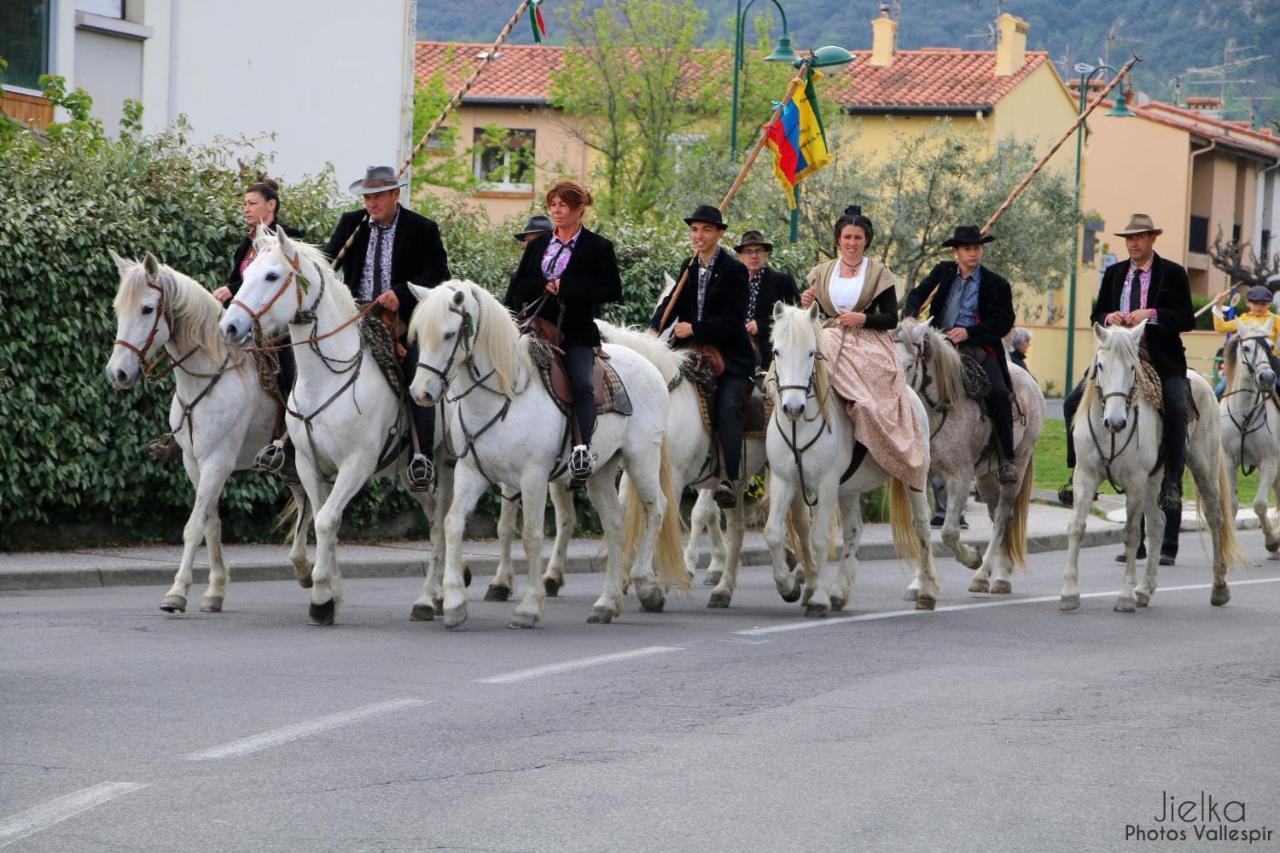 Les papillons en méditerranée Céret Esterno foto